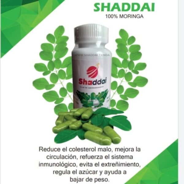 CAPSULAS MORINGA